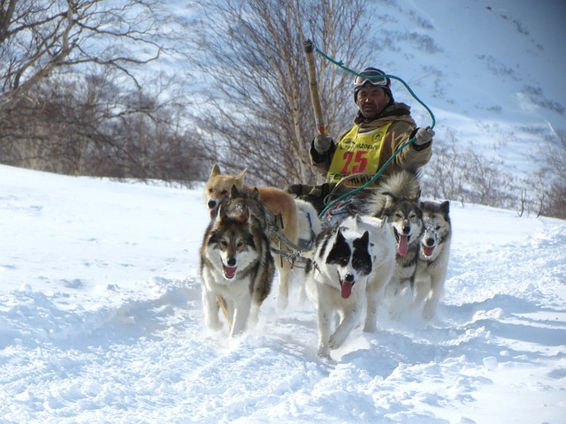 状况