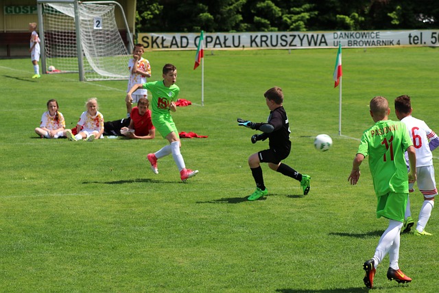 新的高度 新的高度