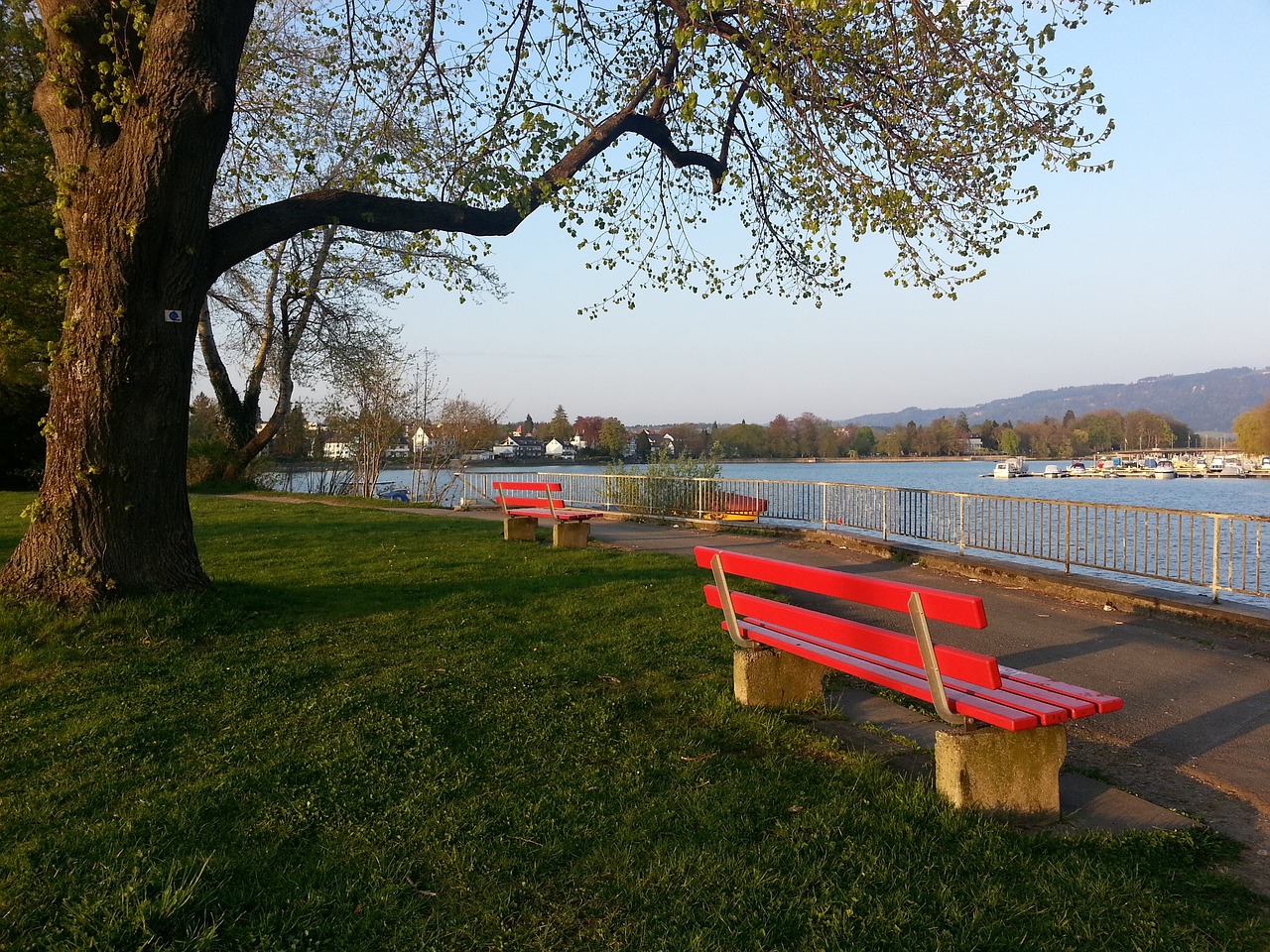 球員們缺乏 球員們缺乏